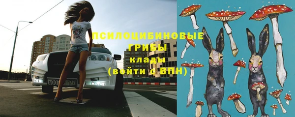 гашик Семёнов